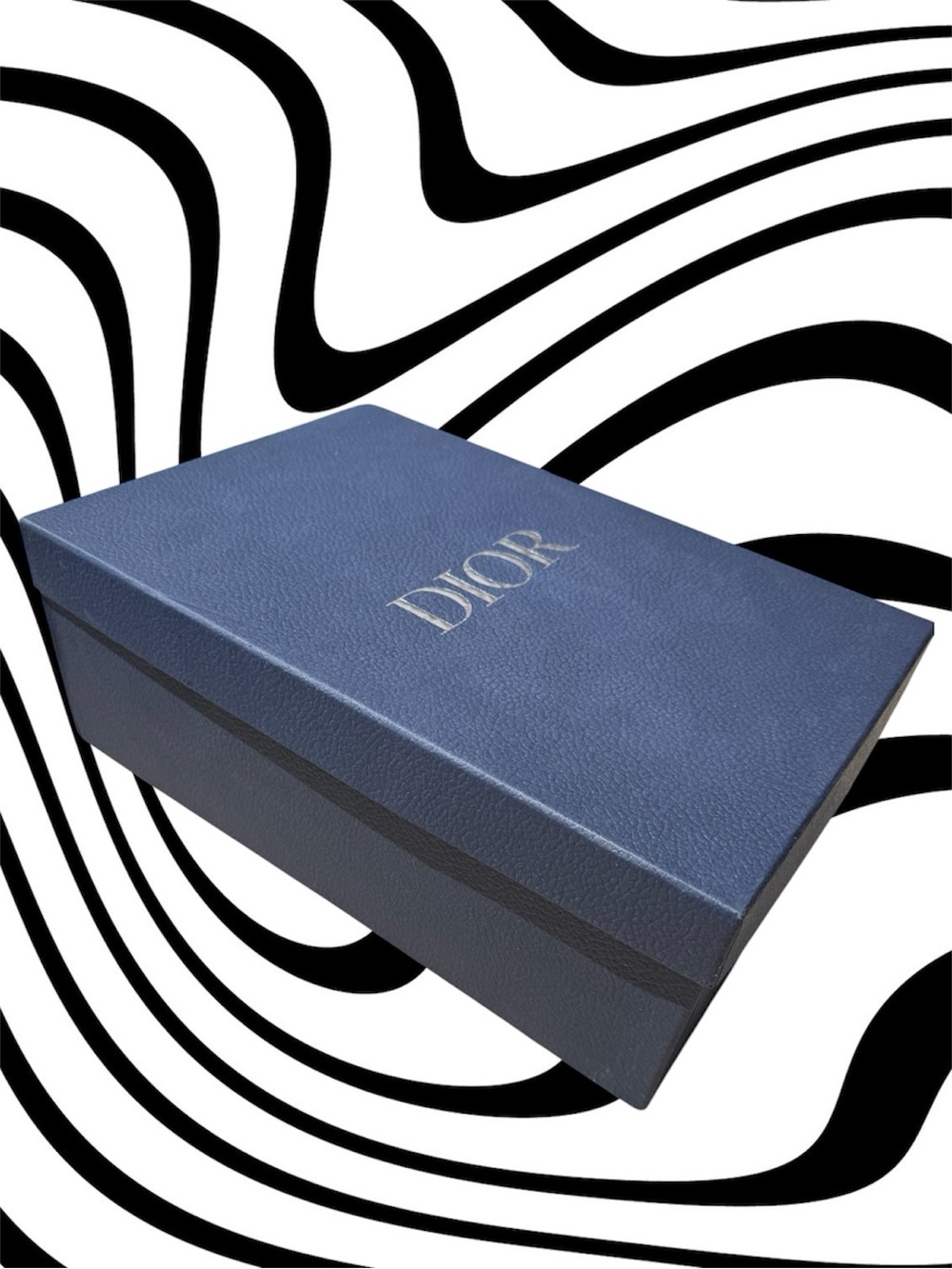 Dior Shoe Box